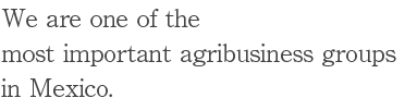 We are one of the most important agribusiness groups in Mexico.